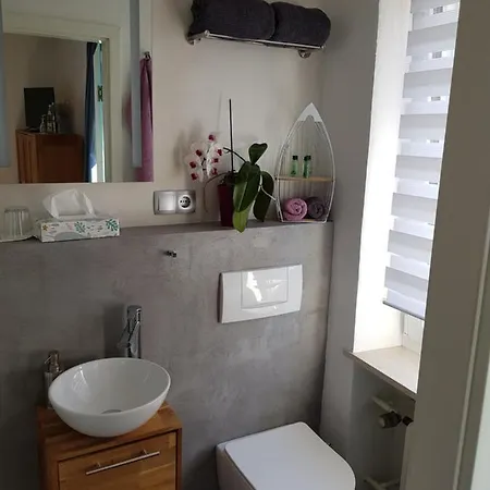 Haus Herzog 4* Bad Steben
